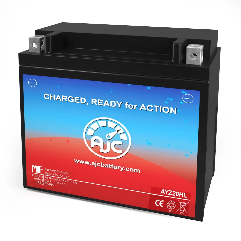 Bamboo Lightweight AJC Battery Compatible with Bombardier Skandic Tundra Xtreme 600CC Snowmobile Pro Replacement Battery (2011)