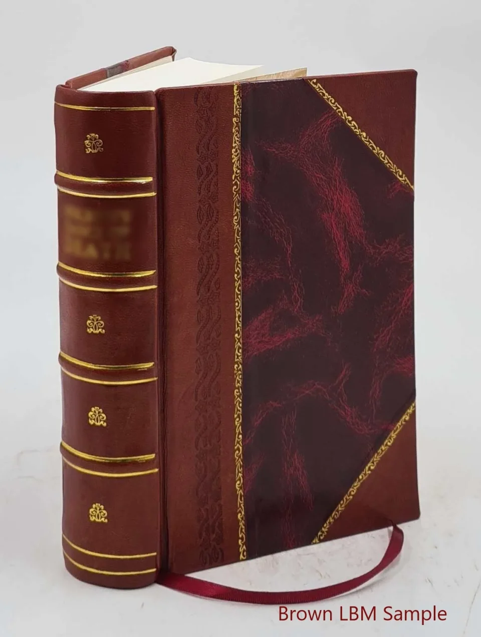 Thickened The genesis of the United States a narrative of the movement in England, 1605-1616 Volume 2 1890 [Leather Bound]