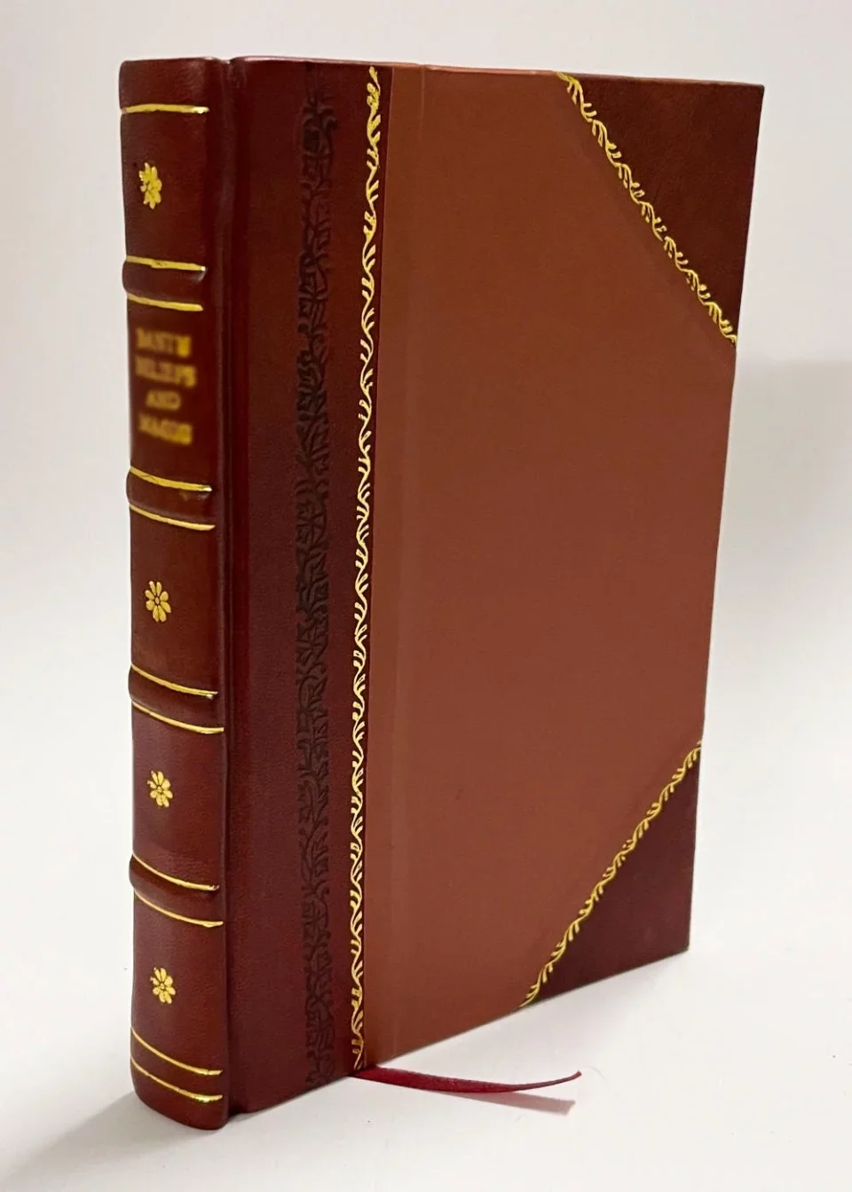 BPA-Free Expeditio Hispanica Apostoli S. Jacobi Maioris Asserta, & Ex S. Paulo Apostolo Confirmata ... Authore Emmanuele Caietano Sousa, .. Dissertatio Historicocritica .. (1727) [Leather Bound]